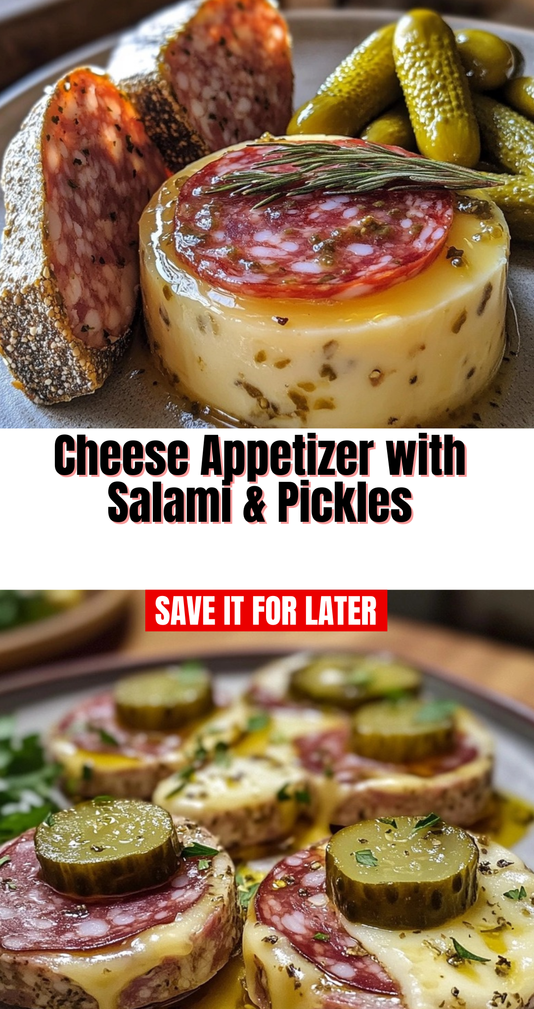 Cheese Appetizer with Salami & Pickles