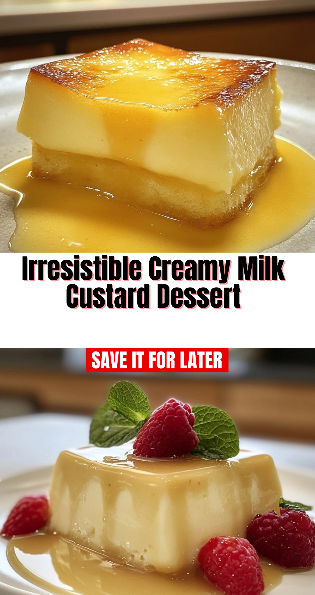 Irresistible Creamy Milk Custard Dessert