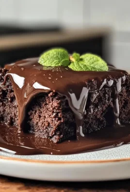 Viral Chocolate Brownie Pudding