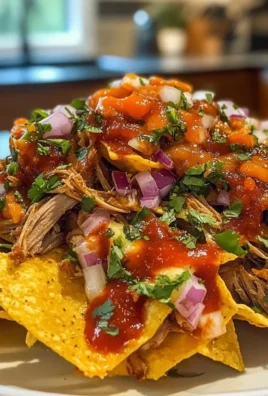 Pulled Pork Nachos