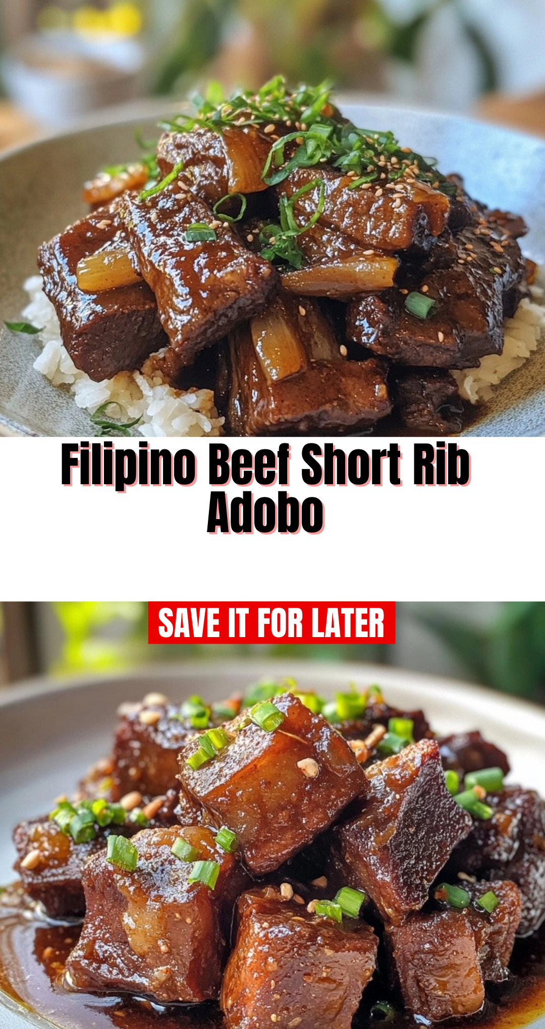 Filipino Beef Short Rib Adobo