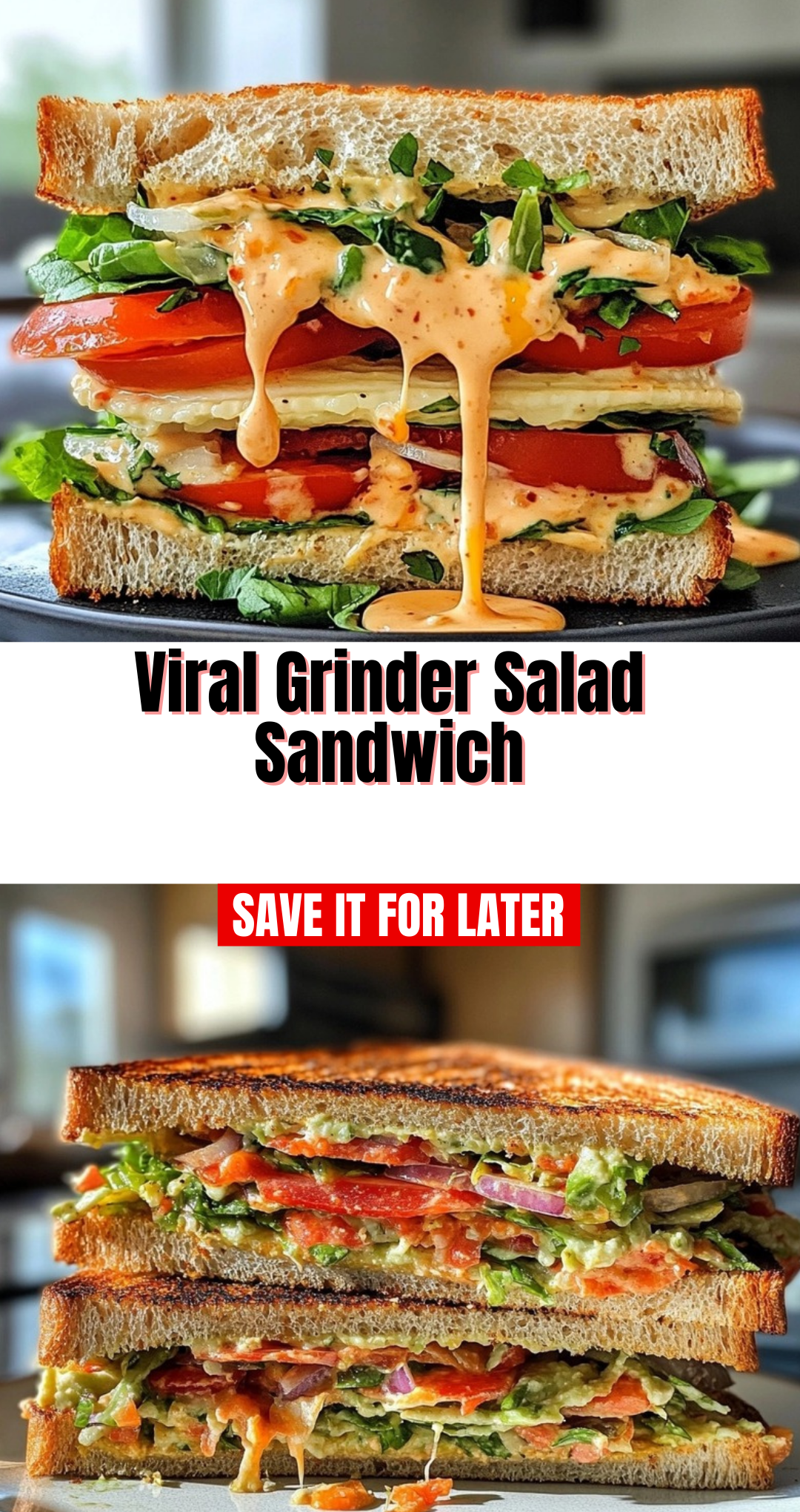 Viral Grinder Salad Sandwich